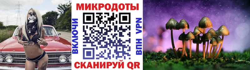 Галлюциногенные грибы мицелий Новое Девяткино